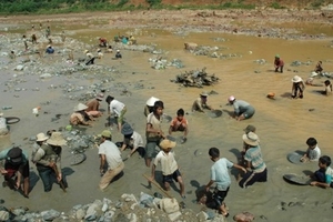 Kon Tum: Tìm vàng dưới chân đập thủy điện