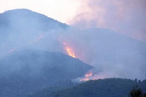 Đã khống chế đám cháy rừng ở Thanh Liêm-Hà Nam