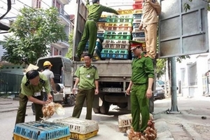 Thu giữ 128.280kg gà nhập lậu