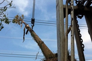 Làm rõ trách nhiệm vụ mất điện toàn miền Nam