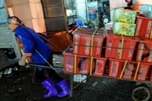 Nhọc nhằn nữ cửu vạn đất Hà Thành