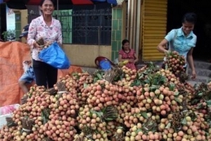 Vải thiều Bắc Giang trúng giá