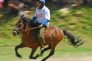 “Cháy” phòng nghỉ trước Tuần du lịch Bắc Hà 2013