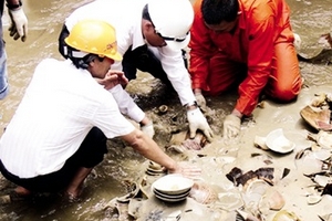 Quảng Ngãi: Phát lộ tàu đắm chứa cổ vật hơn 500 năm tuổi