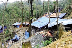 Quảng Nam: Vong mạng vì vàng