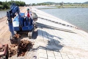 Hà Nội chủ động tu bổ đê kè trước mùa mưa bão