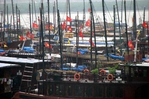 48.233 phương tiện, lồng bè được neo đậu tránh bão