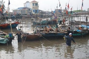 Bão số 2: Vùng nguy hiểm xác định ở trên Vĩ tuyến 18