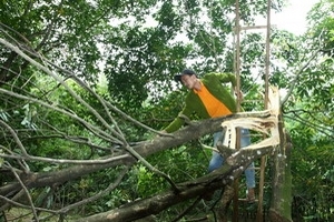 Thống kê sơ bộ thiệt hại do bão số 2 trên cả nước