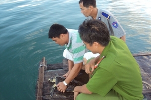 Chủ quán nhậu đồng ý thả động vật quý hiếm về biển