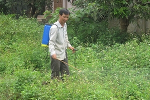 Hòa Bình: Nhiều cái chết đau lòng vì… thuốc diệt cỏ