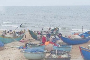 Kỳ lạ nghề lặn “nghe” cá giữa biển khơi