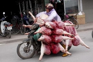 Đồng Nai: Bắt quả tang 1 lò mổ lợn chết, lợn bệnh