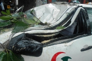 TPHCM: Cây đổ, người dân dùng xà ben cạy cửa taxi cứu tài xế và hành khách