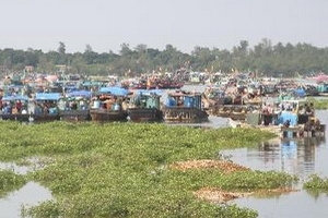 Hai cột ăngten viễn thông ở Quảng Ninh bị đổ vì bão