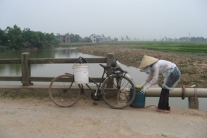 Quản lý an toàn thực phẩm nông sản: Phải quyết liệt và đồng bộ