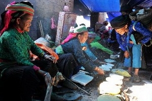 Mùa no ấm đang về trên Cao nguyên đá Đồng Văn