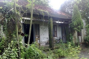 Những “kì án” xuất phát từ lá bùa: Bốn con vịt, bốn mạng người