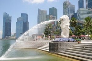 Giá vé máy bay Singapore có thể tăng vào năm tới