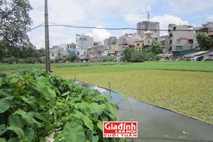 Xót xa những đứa trẻ sau 5 năm vẫn rớt nước mắt từ chối tha thứ cho cha