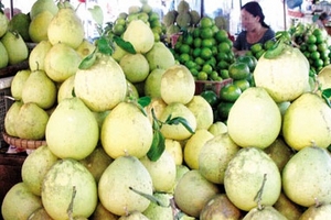 Kinh hoàng trái cây tẩm thuốc tăng ngọt nhanh chín