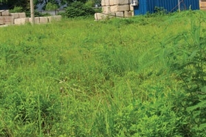 Vì sao dự án căn hộ 12 triệu/m2 ở Linh Đàm vẫn là bãi cỏ hoang?