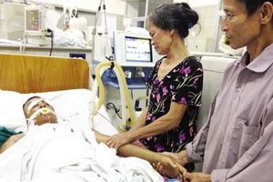 Cảnh báo xuất hiện nhiều ca ong đốt nguy kịch