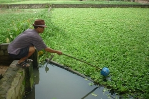 Chương Mỹ, Hà Nội: Xót xa cháu bé 6 tuổi bị sát hại vì 220 nghìn đồng