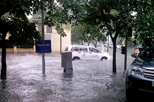 Hà Nội đổ cây, thành Vinh ngập nước sau mưa lớn