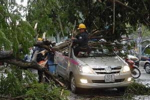 TP HCM: Mưa lớn quật đổ cây đè trúng hai xe taxi