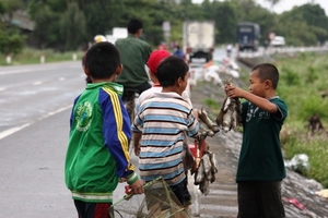 Quảng Bình: Nhói lòng trung thu của những “sát thủ nhí” trên đồng