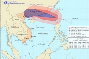 Bão số 9 trên Biển Đông có sức gió giật trên cấp 17