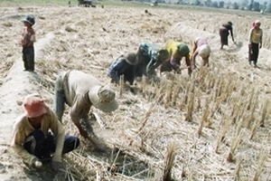 Xã Anh hùng & cái đói mùa giáp hạt