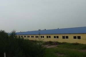 Hàng trăm hộ dân khốn đốn vì trang trại gây ô nhiễm