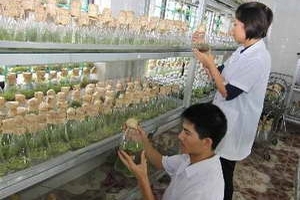 Tiếp cận và chia sẻ nguồn gen còn nhiều thách thức