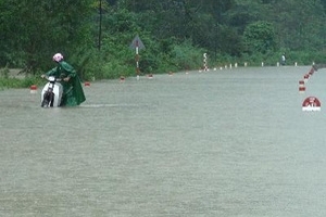 Lũ các sông từ Nghệ An-Bình Định, Tây Nguyên lên cao