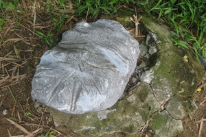 Hòn đá "thần" chữa được bệnh?