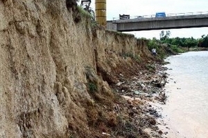 Đê biển ở Cà Mau đối mặt với nguy cơ sạt lở lớn