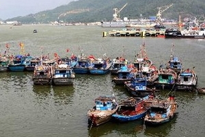 Các địa phương theo dõi chặt chẽ diễn biến bão số 11