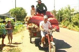 "Quái xế" trên chiếc xe ba bánh