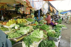 TPHCM: Rau tăng giá mạnh vì bão