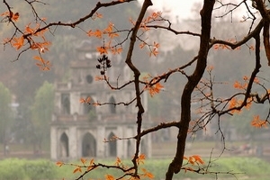 Bắc Bộ ngày nắng hanh, Nam Bộ chiều tối có mưa to