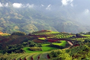 Sau 20 năm, nhiệt độ ở Sa Pa tụt xuống mức 8 độ C