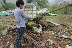 Bắt nam thanh niên cắt trộm dây cáp viễn thông