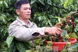 Dư nợ cho vay nông nghiệp nông thôn tăng 14,3%