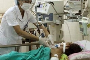 Hơn 50% các ca ngộ độc là do ăn thực vật, nấm độc