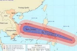 Hoàn lưu áp thấp gây mưa, bão Haiyan vào Biển Đông