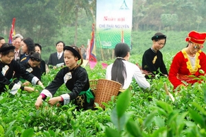 Xúc tiến đầu tư và du lịch tại Festival Trà Thái Nguyên