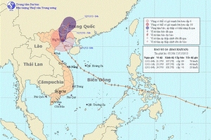 Sáng sớm nay bão Haiyan đổ bộ vào Hải Phòng, Quảng Ninh