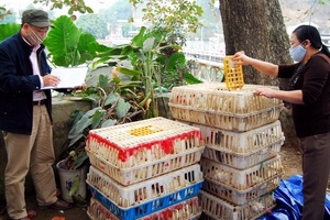 Những đêm trắng ngăn chặn hàng lậu ở vùng biên